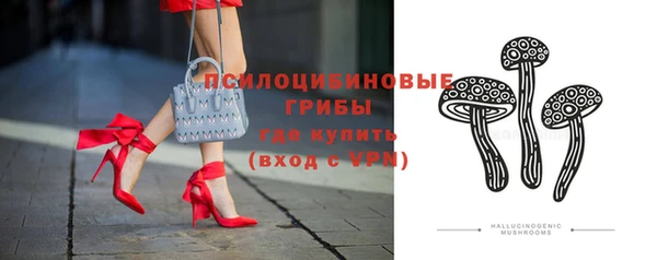 ешки Алзамай